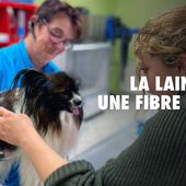 ARTE Regards - La laine, recyclage et revalorisation - Regarder le documentaire complet | ARTE