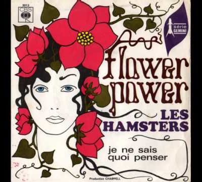 les hamsters, un groupe psychédélique, freakbeat, garage, mod et français de ces belles années1960