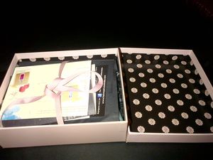 glossybox mars 2013 &quot;glossy in the city &quot;