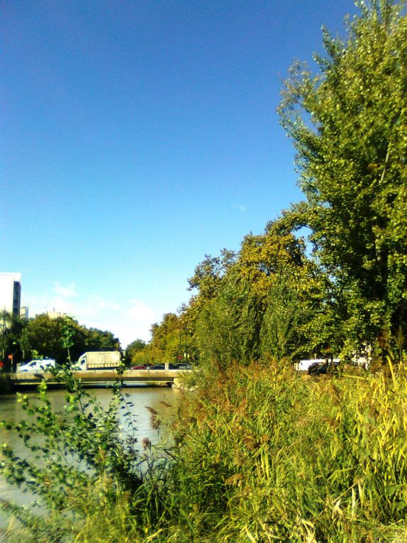 Album - Paseo-del-Canal--Zaragoza-