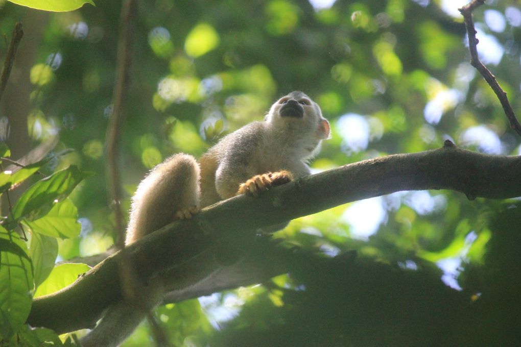 Album - Album-Costa-Rica