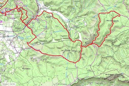 Samedi 30/11/2019 sortie prolongée