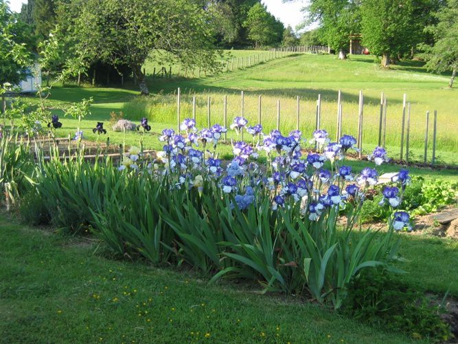 Quelques vues du jardin