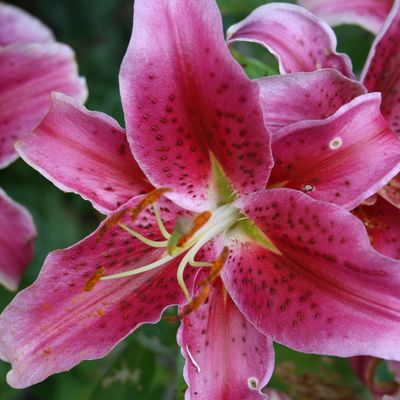 christine-76-creation.overblog.com