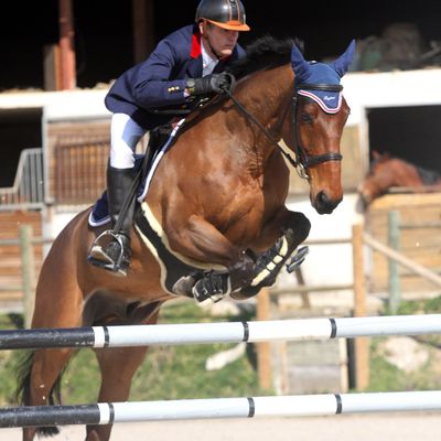 Royôme de Lancelot (SF de 9 ans par Alfa d'Elle & Arôme de la Coste)