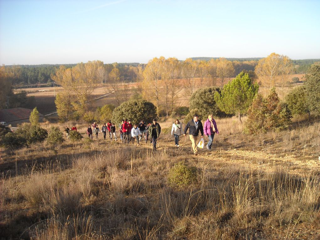 fotos del primer paseo