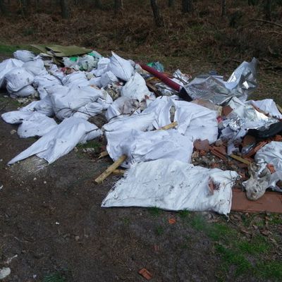 Communauté de communes du pays de Valois : Des dépôts d’ordures dans la forêt de Retz et le bois du roi