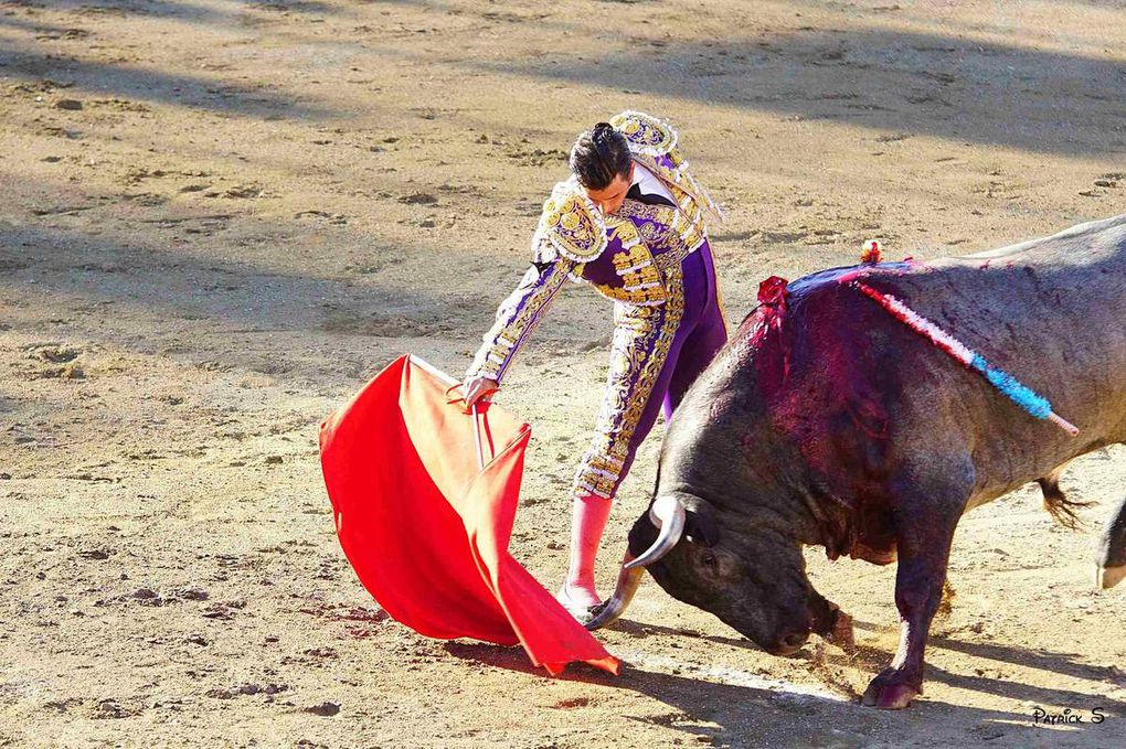 Céret de toros, 30ème anniversaire (épisode 4)