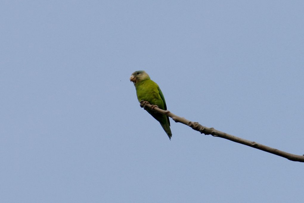 Album - Réserve Cerro-Blanco