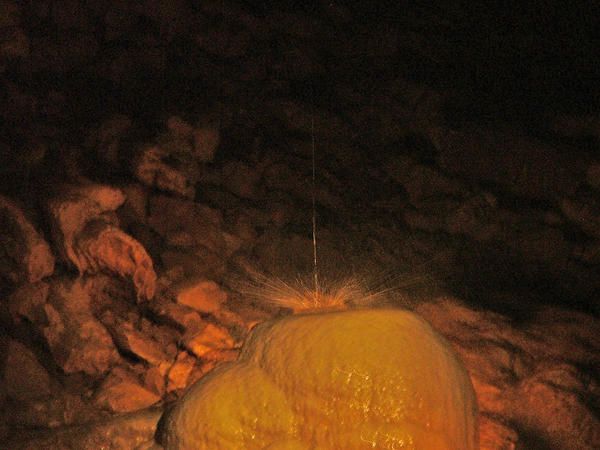 Les merveilles de la Grotte de CHORANCHE dans le VERCORS