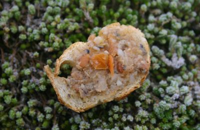 Les escargots d'Escargout seront présent à la foire aux plantes et produits fermier de st germer de fly dans l'oise le 9 mai 2009