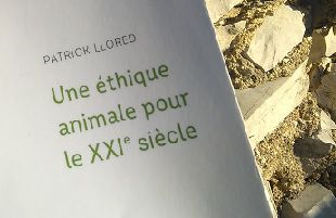 Notes de lecture - Patrick Llored, Une éthique animale pour le XXIème siècle (2021)