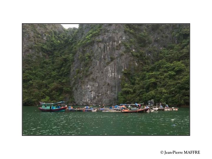 La baie Halong est l'un des trésors les plus prisés du Vietnam. Un paysage dont on ne se lasse jamais.