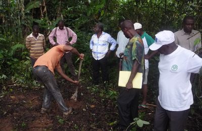 Implantation et démarrage travaux FORAGE