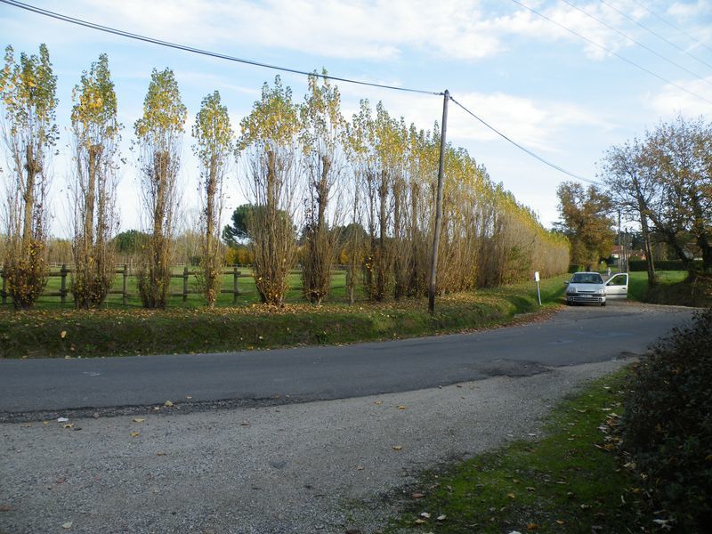 notre quartier pdt l'automne 2009