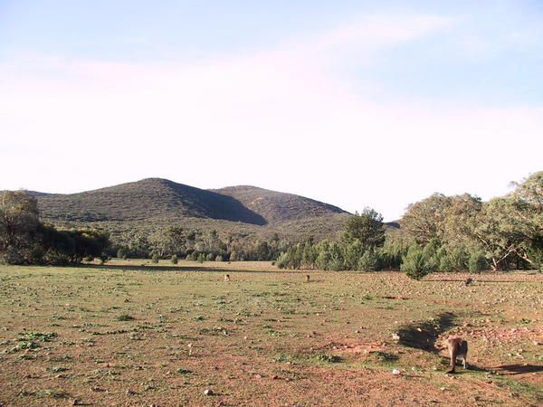 Album - australie-centrale-et-meridionale