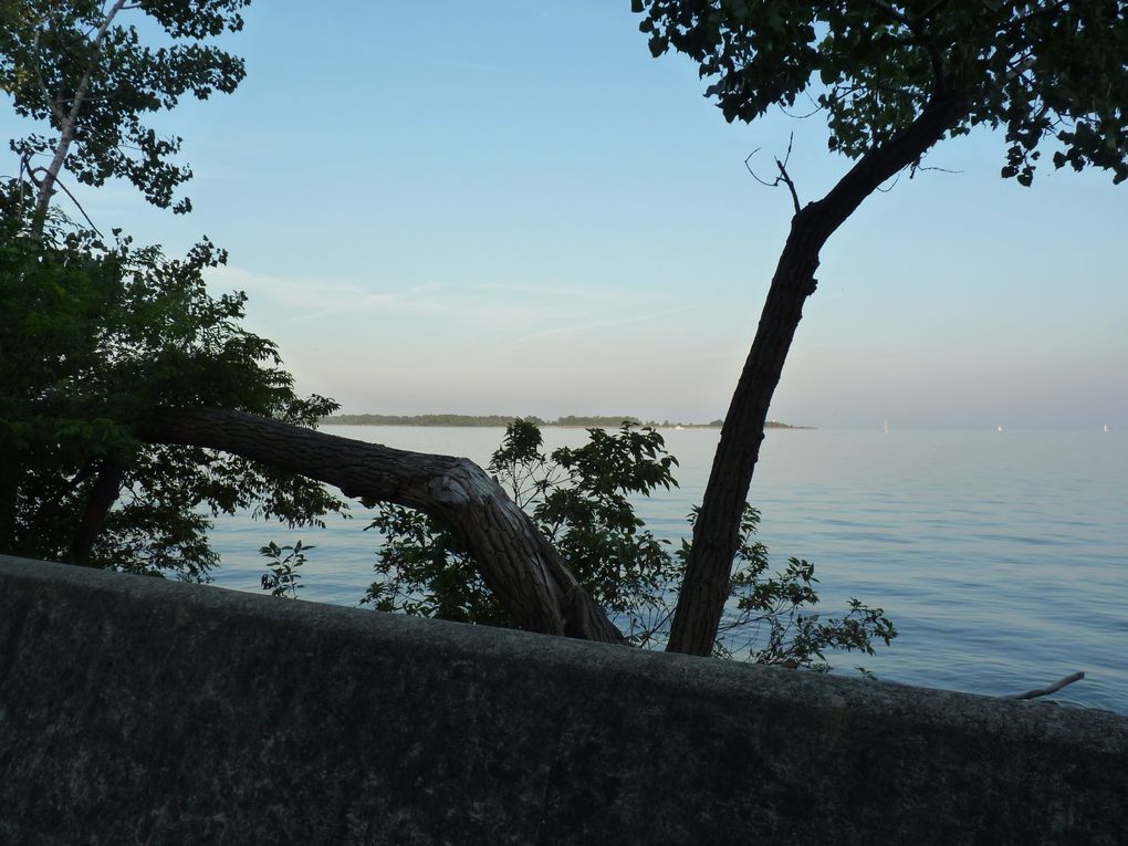 Toronto Island! Einfach anschauen und genießen...ohne Worte! Man kommt sich wie auf nem anderen Planeten vor, wenn man aus der Stadt rauskommt...