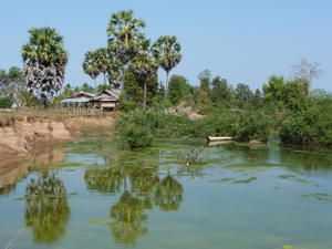 Il fait beau, il fait chaud ...welcome dans le sud du Laos. Ici on experiemente a fond le rythme ultra tranquille du pays. Au programme Pakse, Vat Phu de Champassak, 4000 iles !