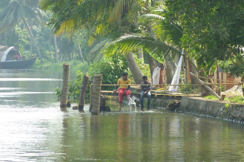 Des photos principalement des backwaters. J'espère que ca ne vous "saoulera" pas trop. Nous c'est notre partie préférée du voyage.