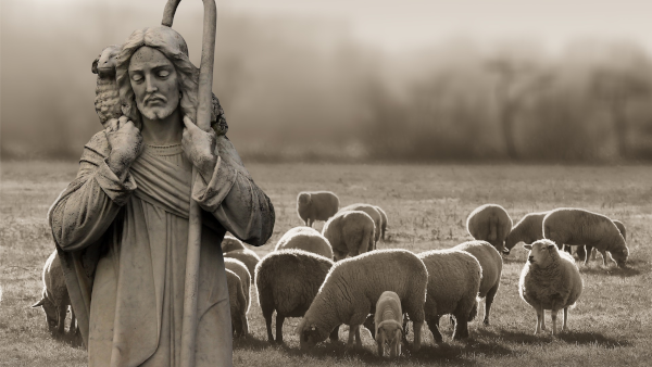 Evangile du Vendredi 26 Mai « Sois le berger de mes agneaux » (Jn 21, 15-19)