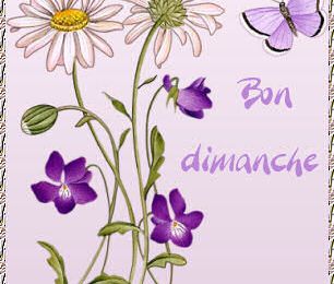 Citations Du Dimanche Loisirs De Claire