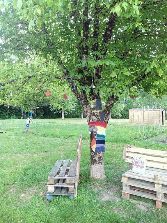 Re-nouer avec la Laine - habillage des arbres