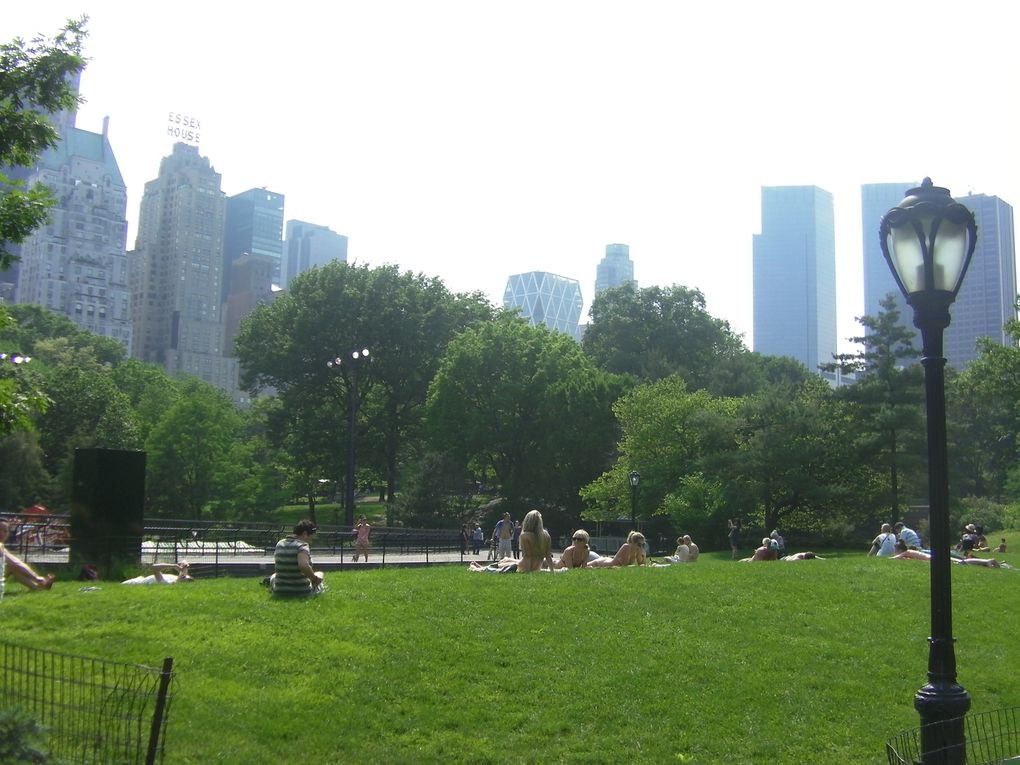 Album - Central Park