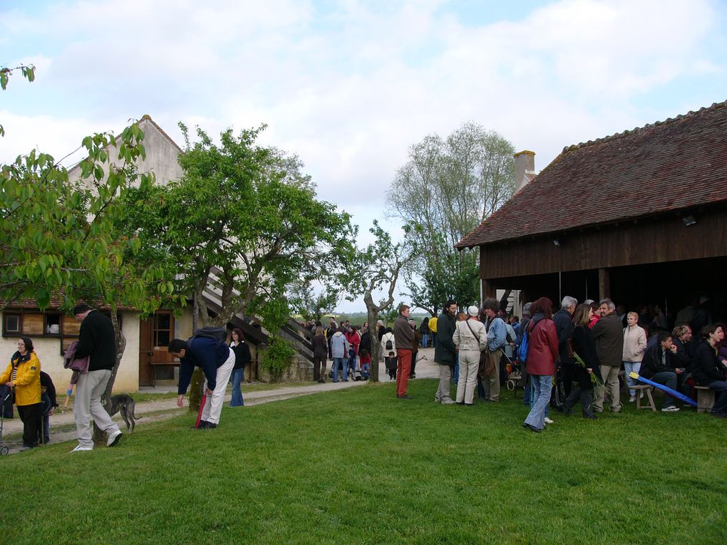 Visages en rivière (suite) 