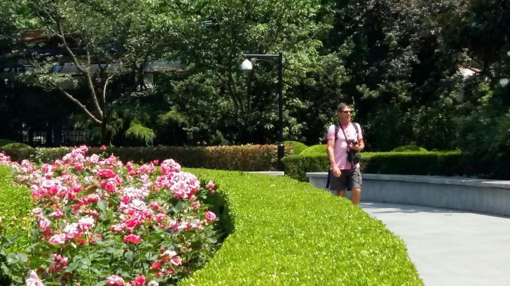 Promenade dans le Chinese Garden