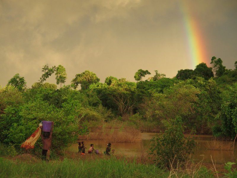 Paysage Malgache