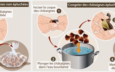 Congelation de chataignes