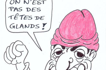 Les Bonnets Roses en colère