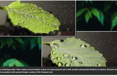 Une nouvelle technologie du MIT permet aux pesticides de coller aux feuilles des plantes