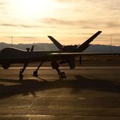 Les drones MQ-1 Predator de l'US Air Force seront retirés du service d'ici 2018