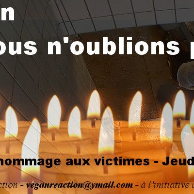 Jeudi 30 Juin - Veillée aux abattoirs de Mauléon-Licharre