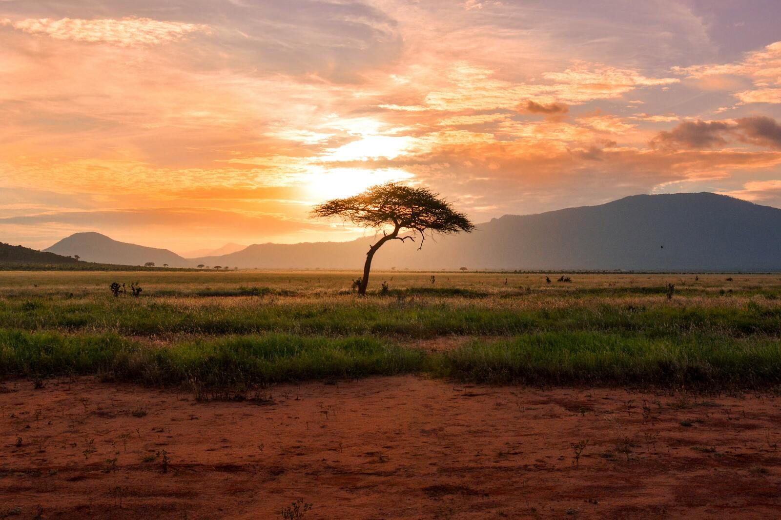 Paysage du Kenya