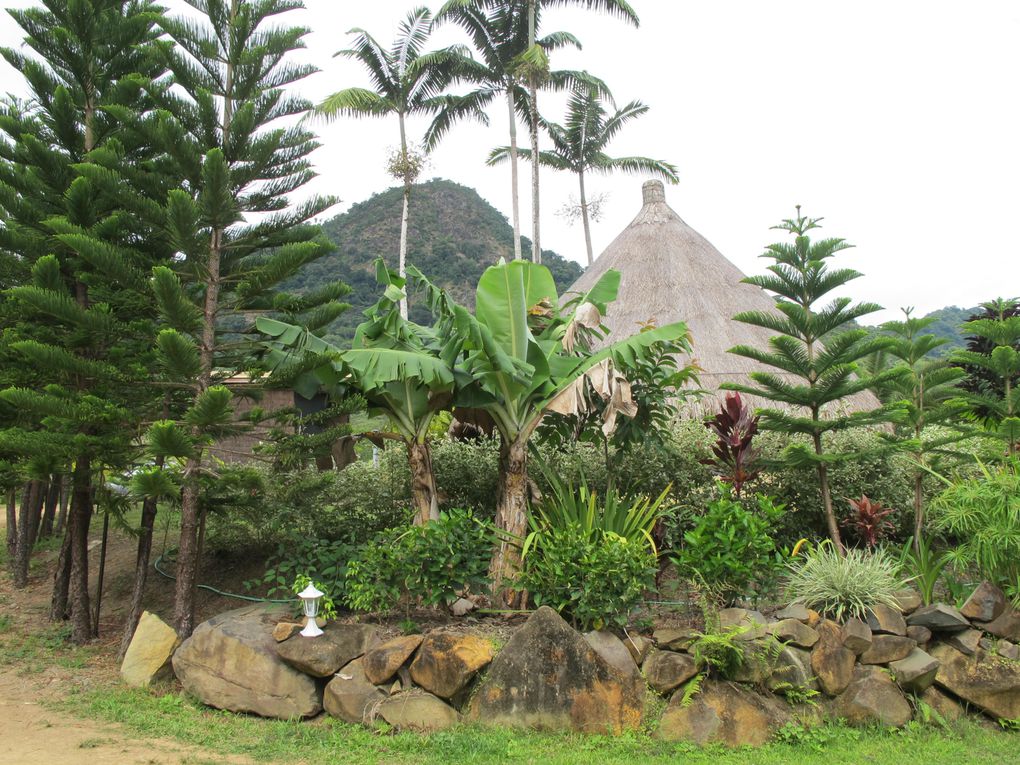 Danse pilou, Bougna, mangrove, Manou, case traditionnelle, fleurs d'Hibiscus, de Tiaré...