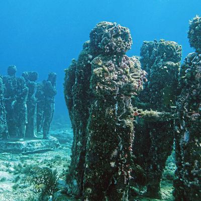 Sculptures englouties par la Mer 
