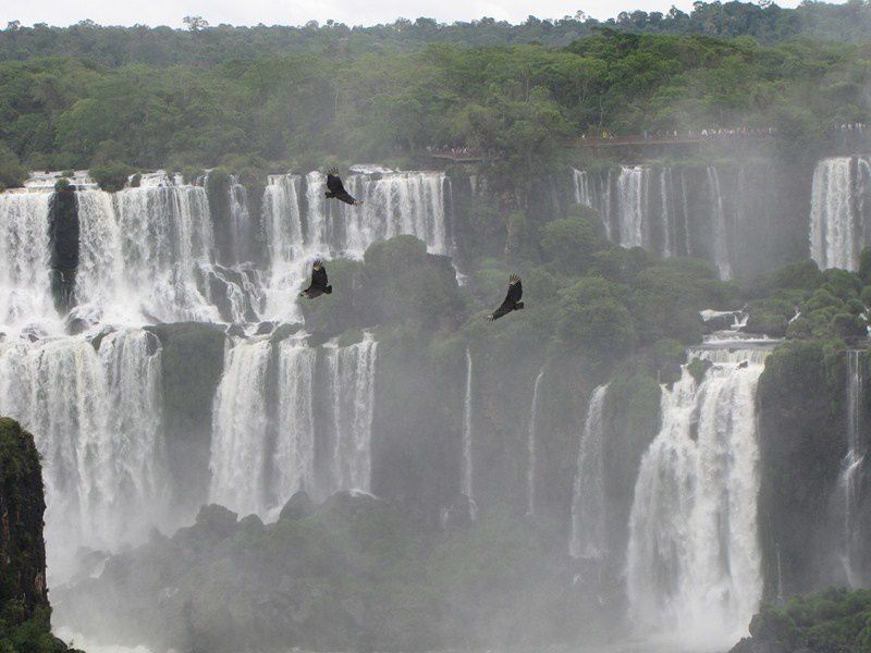 Album - 01  IGUAZU-IGUACU