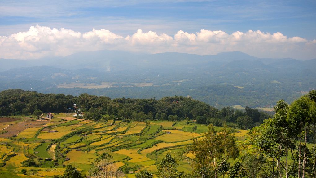 Album - Sulawesi Indonesie