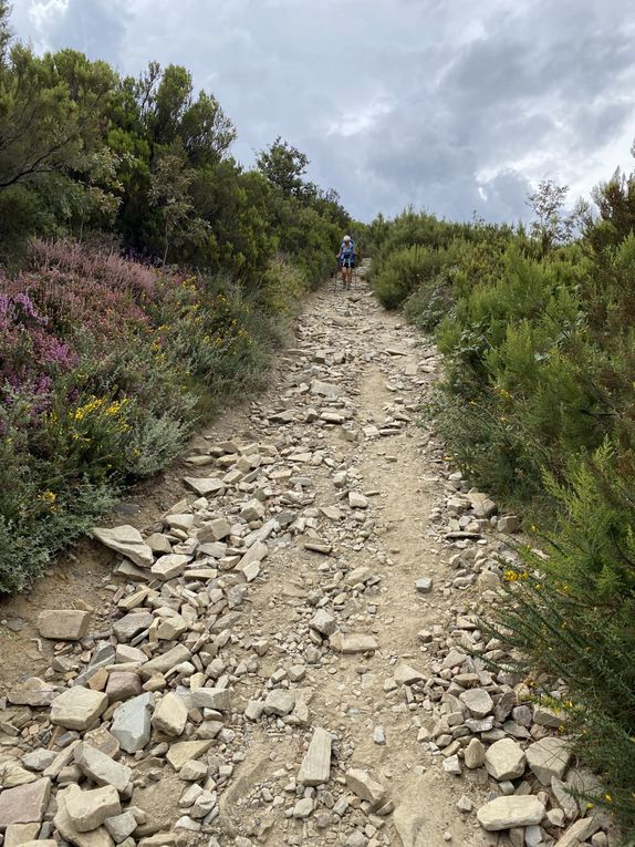 Étape 2 / Saison 5 : Rabanal del Camino - Molinaseca 25 kl