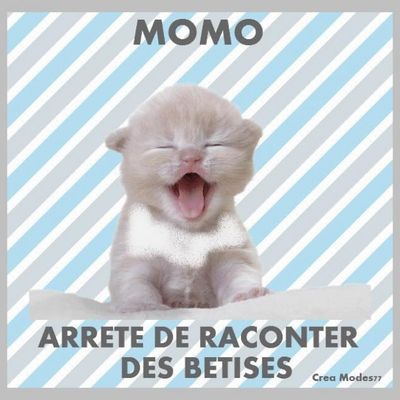 BON ANNIVERSAIRE - Maurice