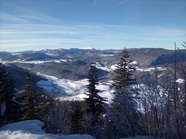 HERBOUILLY TOUT BLANC