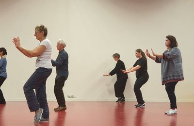 Stages de Tai Chi Traditionnel avec Samuel Sclavis ! | Mai 2019