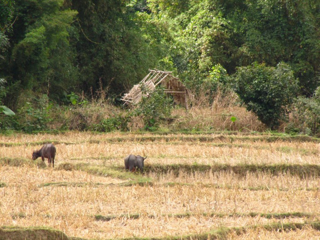 Album - Laos