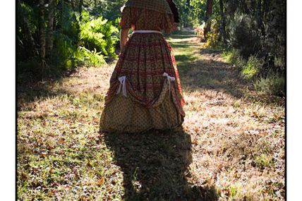 Forêt de Sologne : contrejour dans l'allée (2)