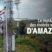 Le mystère des rivières volantes d'Amazonie - Regarder le documentaire complet | ARTE