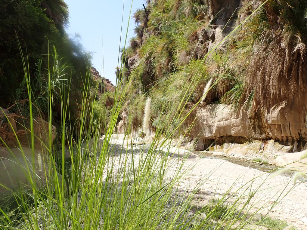 WADIS DE JORDANIE : RANDONNEES AQUATIQUES. Août 2023