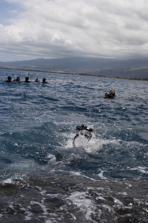 Méthode de suivi environnemental au Cap la Houssaye (Réunion) permettant d’évaluer l’état de santé d’un récif et de détecter des changements
écologiques liés à des perturbations naturelles ou humaines.