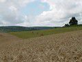 AGRICULTURE:« Nous ne céderons pas les estomacs à la finance »